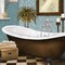 Afternoon Bath II Poster Print by Elizabeth Medley - Item # VARPDX8295A